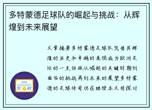 多特蒙德足球队的崛起与挑战：从辉煌到未来展望